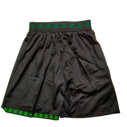 Minnesota Timberwolves 1997 Retro (Shorts)